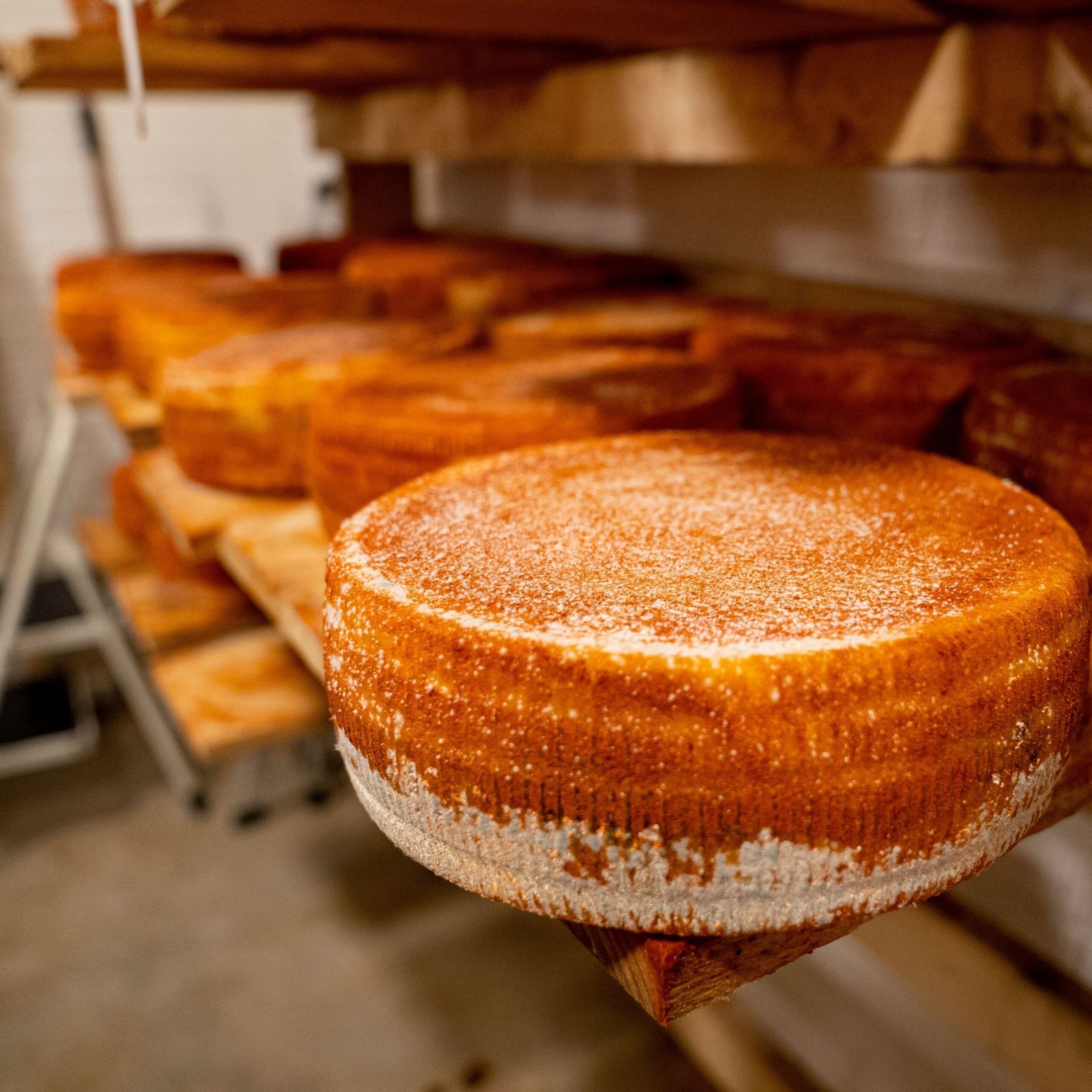 Local artisan cheese from an independent dairy Fresh cheese and dairy products from a local producer Small dairy farm producing local milk and cheese Local cheesemaker with handmade dairy products