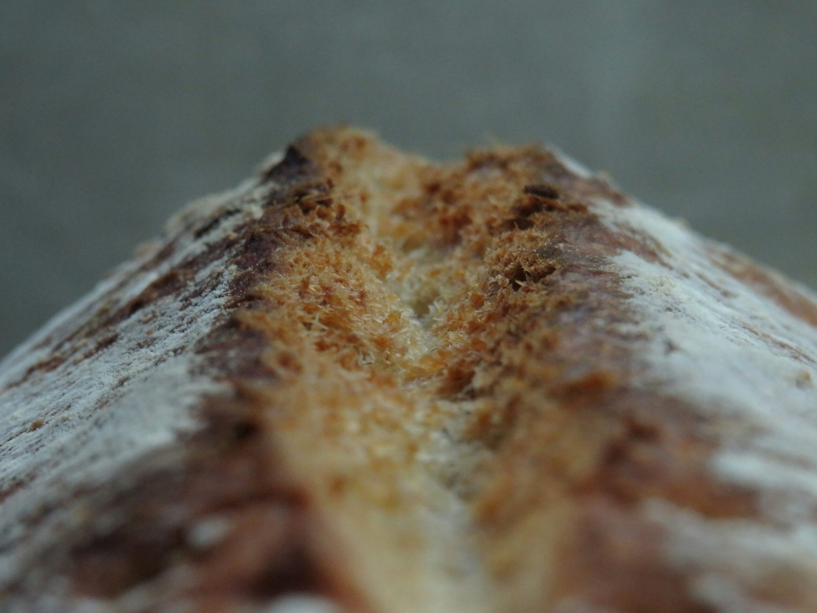 artisanal bread