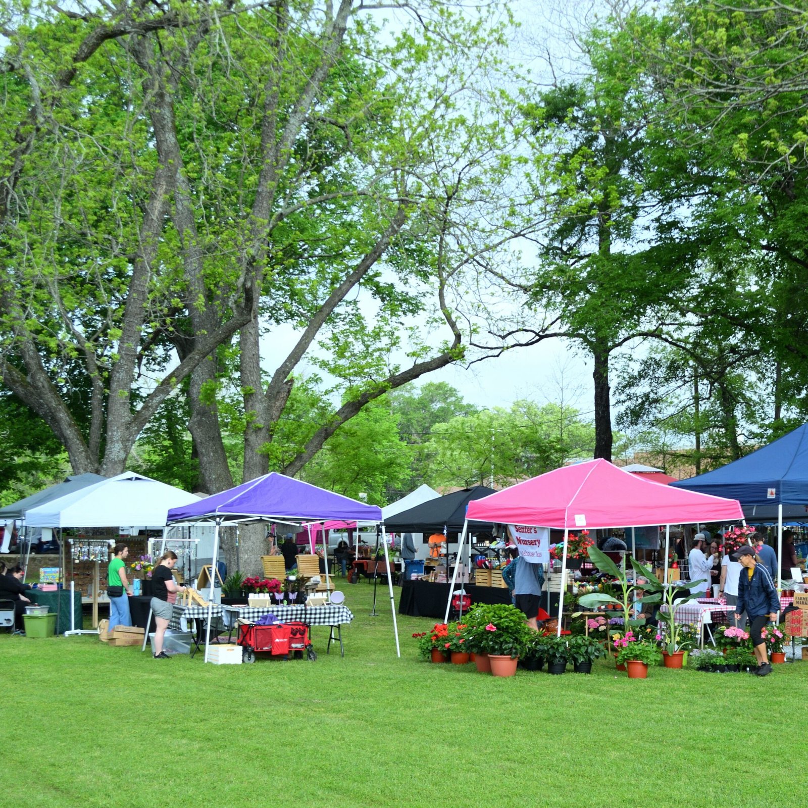 Local farmers market with independent food and craft stalls
