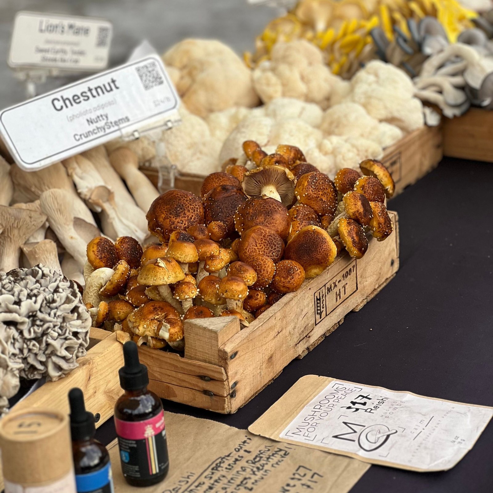 Fresh gourmet mushrooms from a local grower
