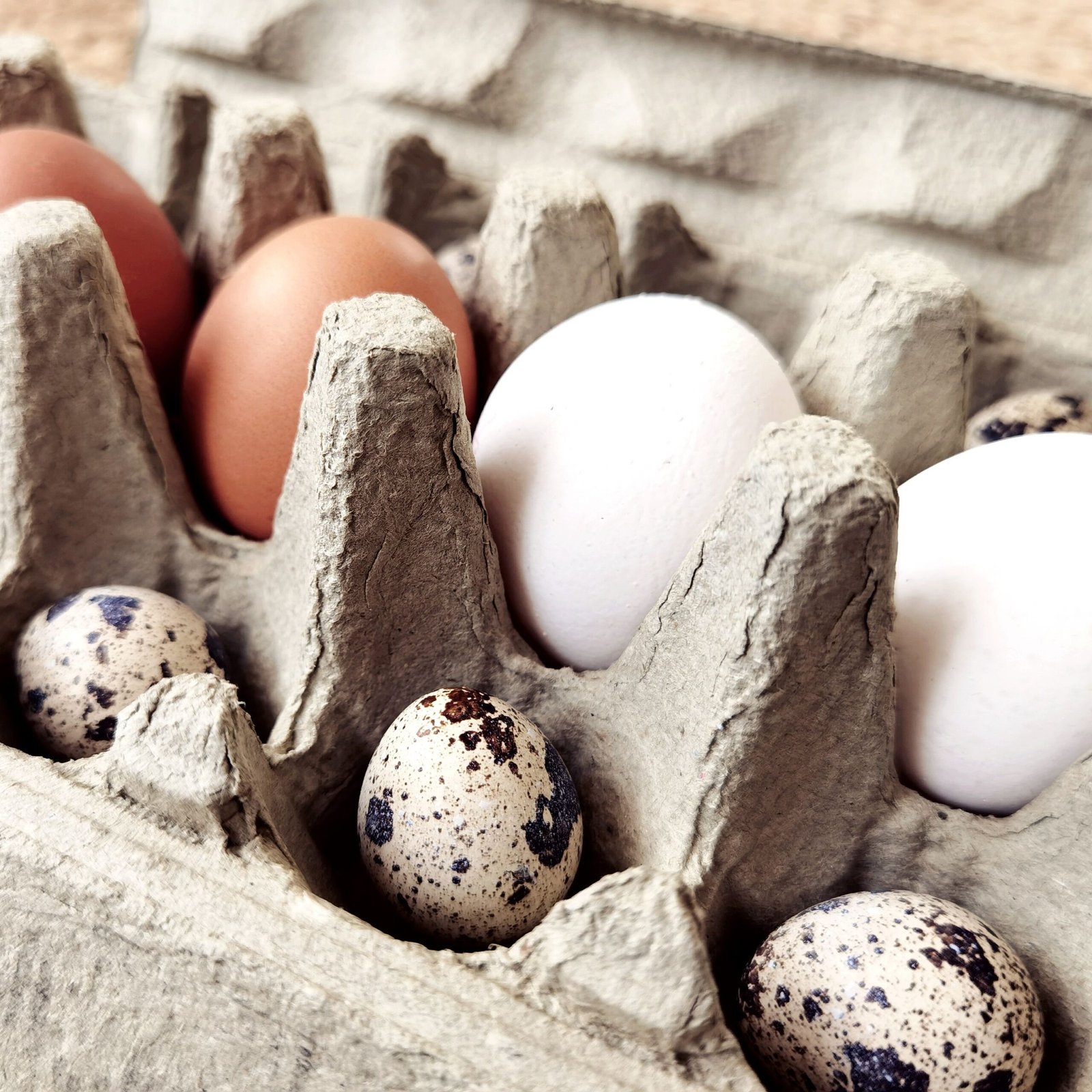 Local meat eggs and seafood from independent producers Free range eggs from a local smallholding Fresh seafood from a local fishmonger Local butcher and small farm produce